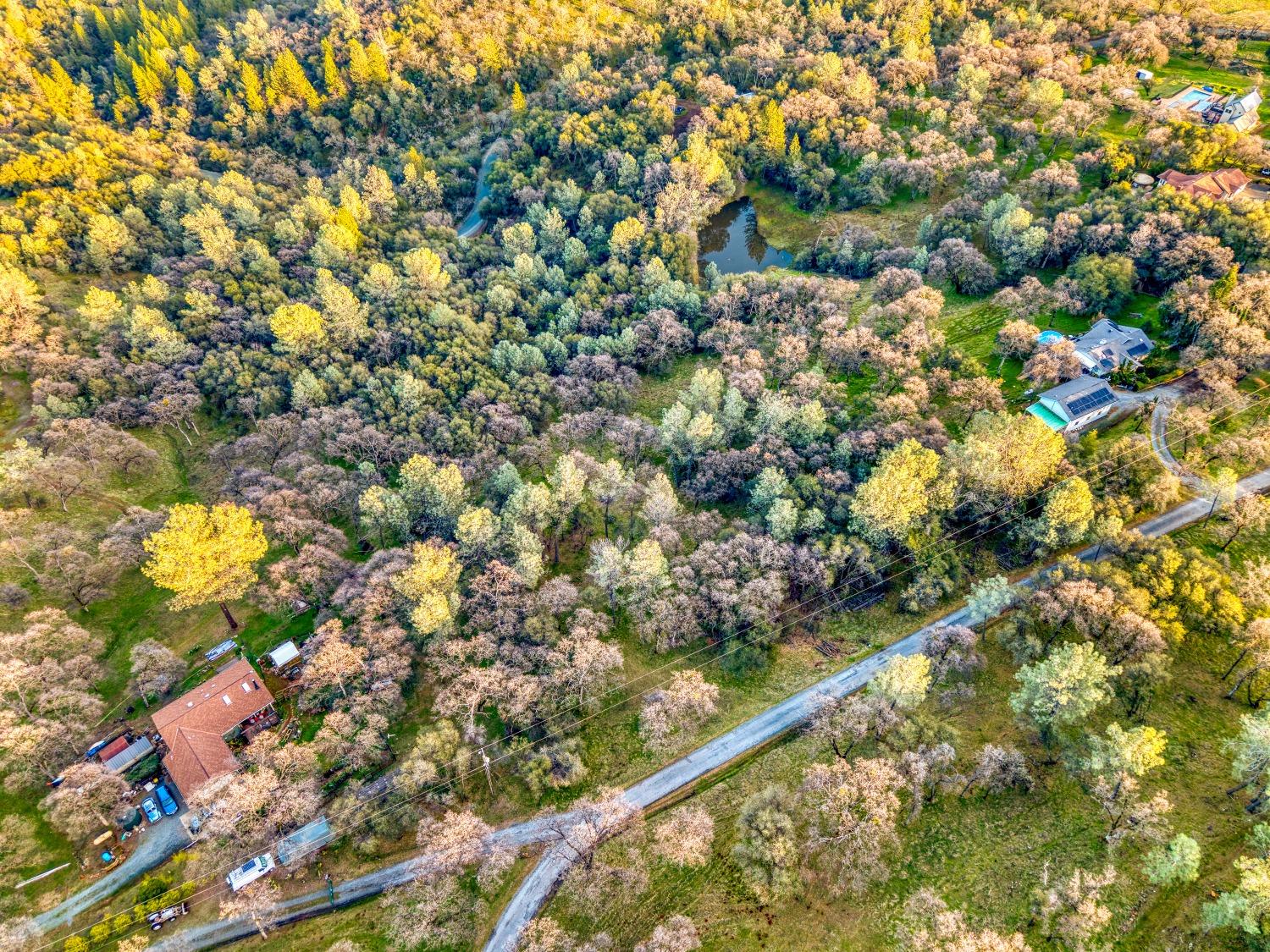 5 Blarney Way Pilot Hill, CA 95664 - Photo 9 of 15