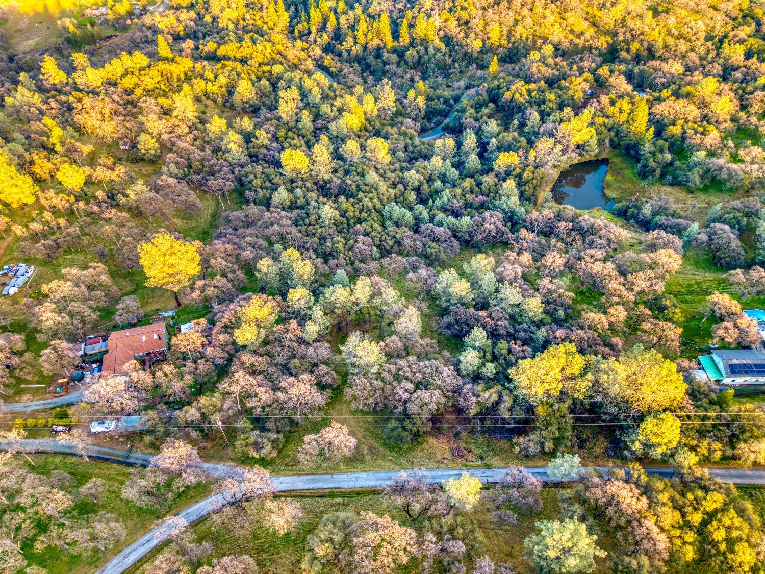 5 Blarney Way Pilot Hill, CA 95664 - Photo 10 of 15