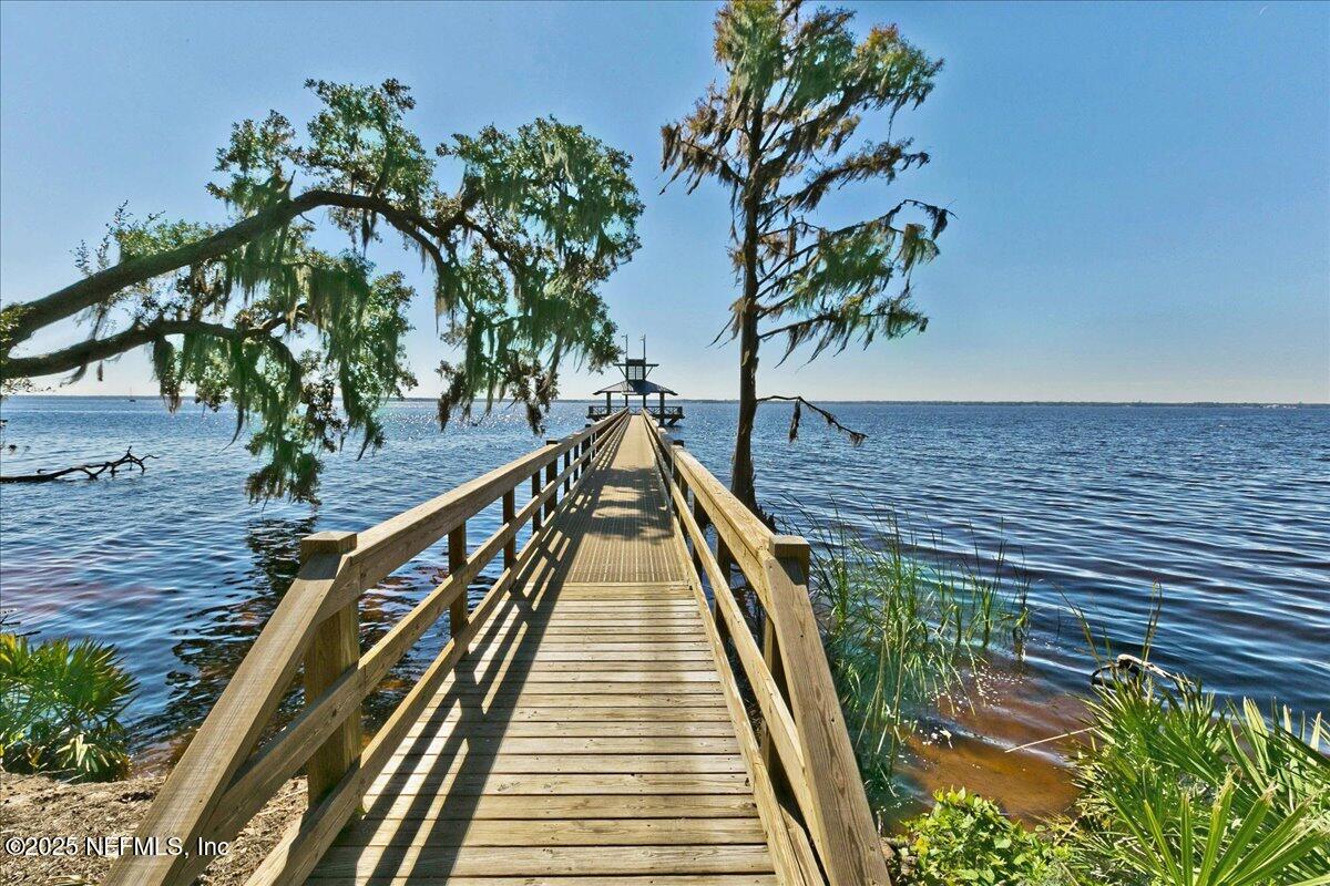 78 Calumet Drive St. Johns, FL 32259 - Photo 64 of 72 a view of a house with a palm tree