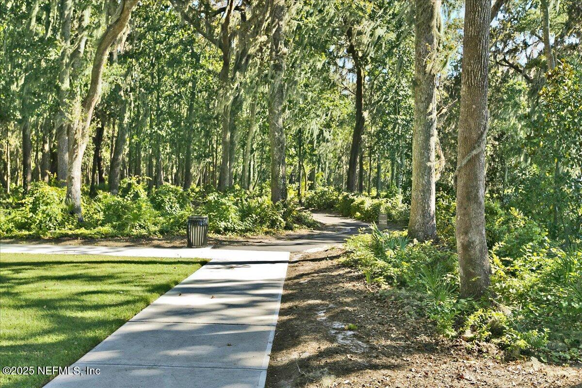 78 Calumet Drive St. Johns, FL 32259 - Photo 67 of 72 a view of a yard with plants and large trees