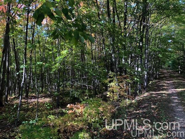 Tbd Koski Road Munising, MI 49862 - Photo 2 of 17