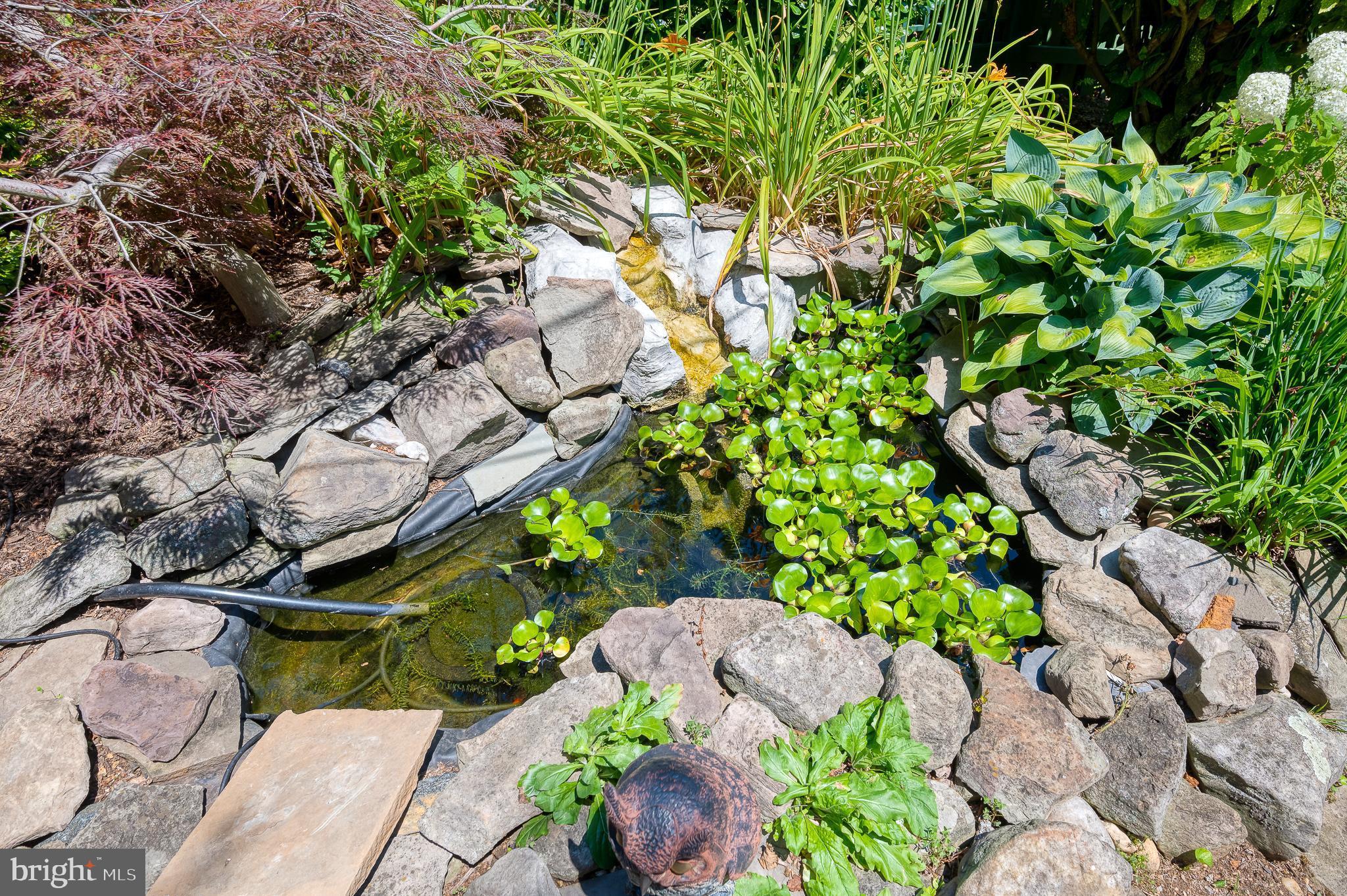 4409 Wickford Road Baltimore, MD 21210 - Photo 56 of 58 Fish pond