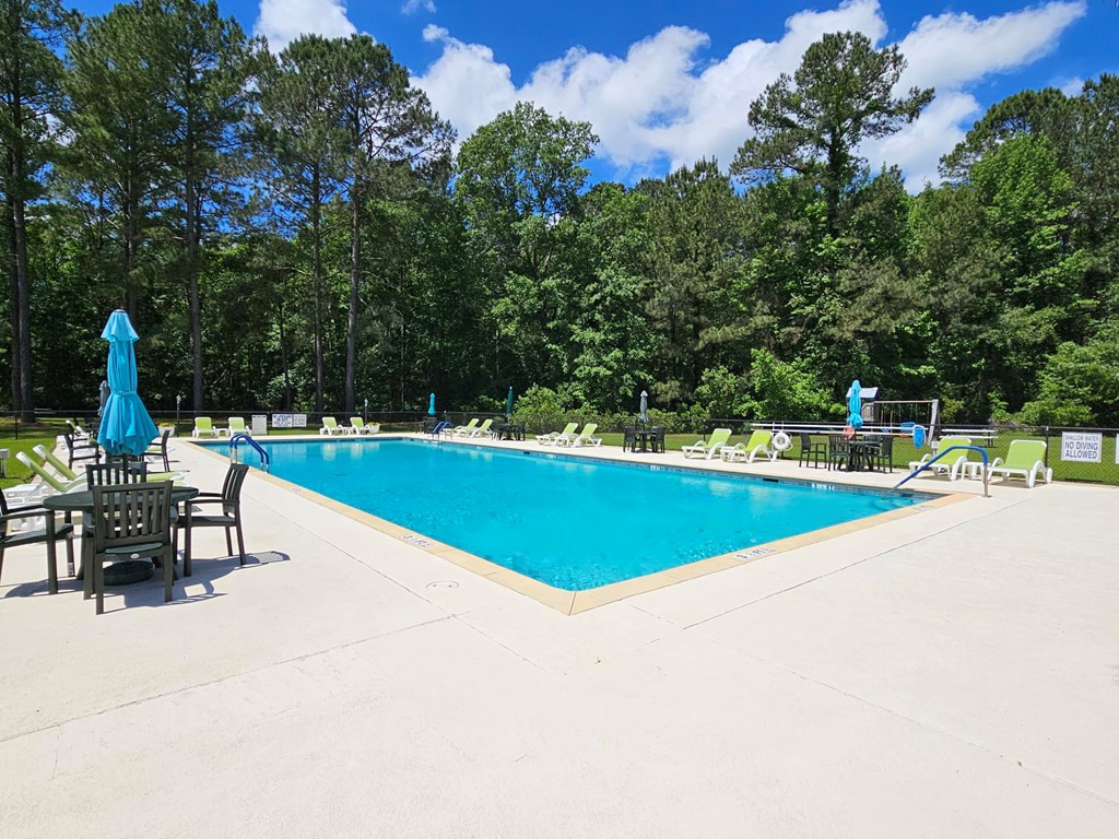 228 Ridge Lake Drive Manning, SC 29102 - Photo 65 of 72 Gallery Image 65