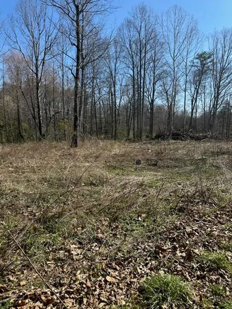 $125,000 | 0 Crimora Mine Road, Crimora, VA 24431