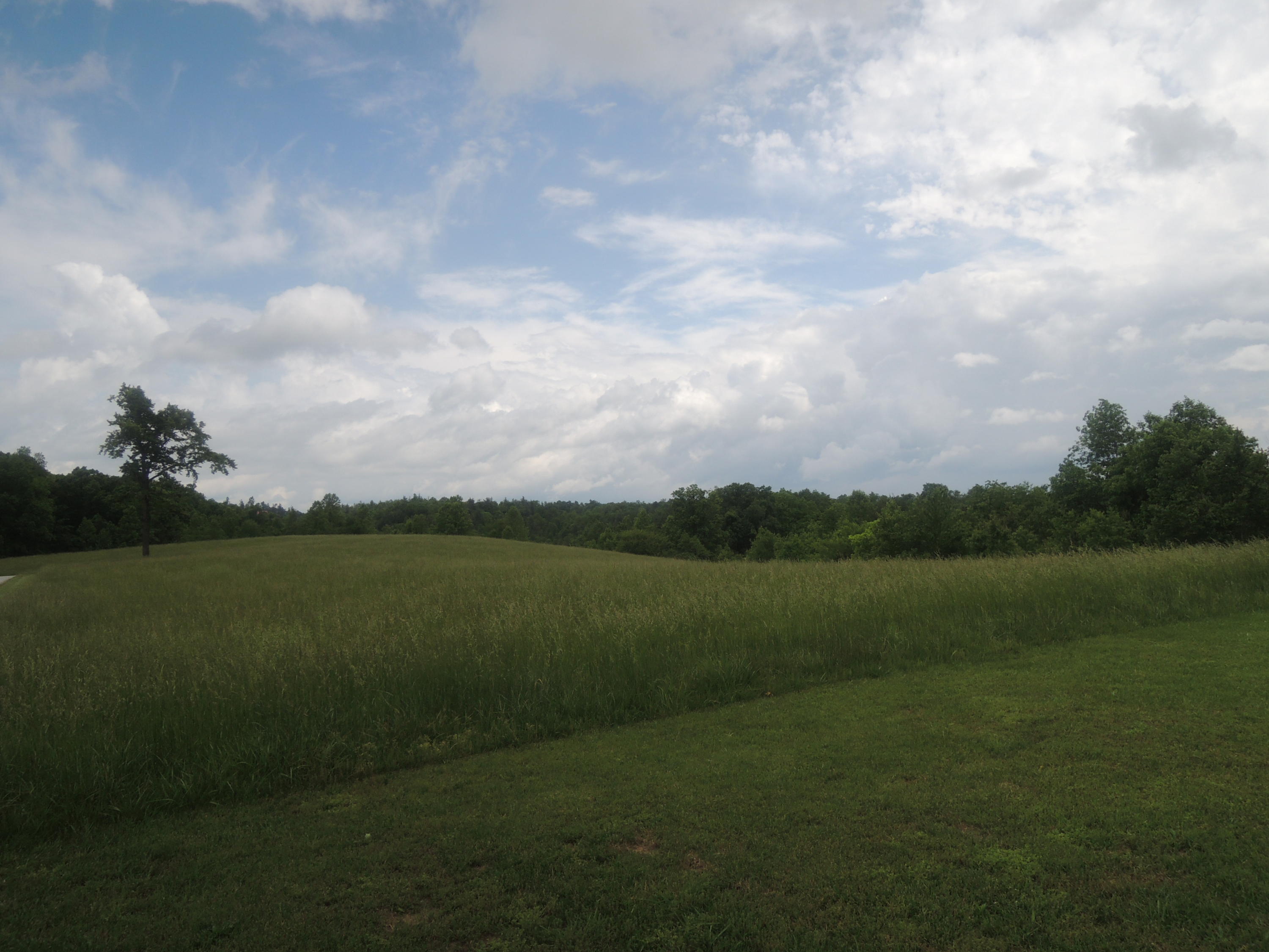292 Coon Creek Road Sunbright, TN 37872 - Photo 24 of 39 05-17-2017 103