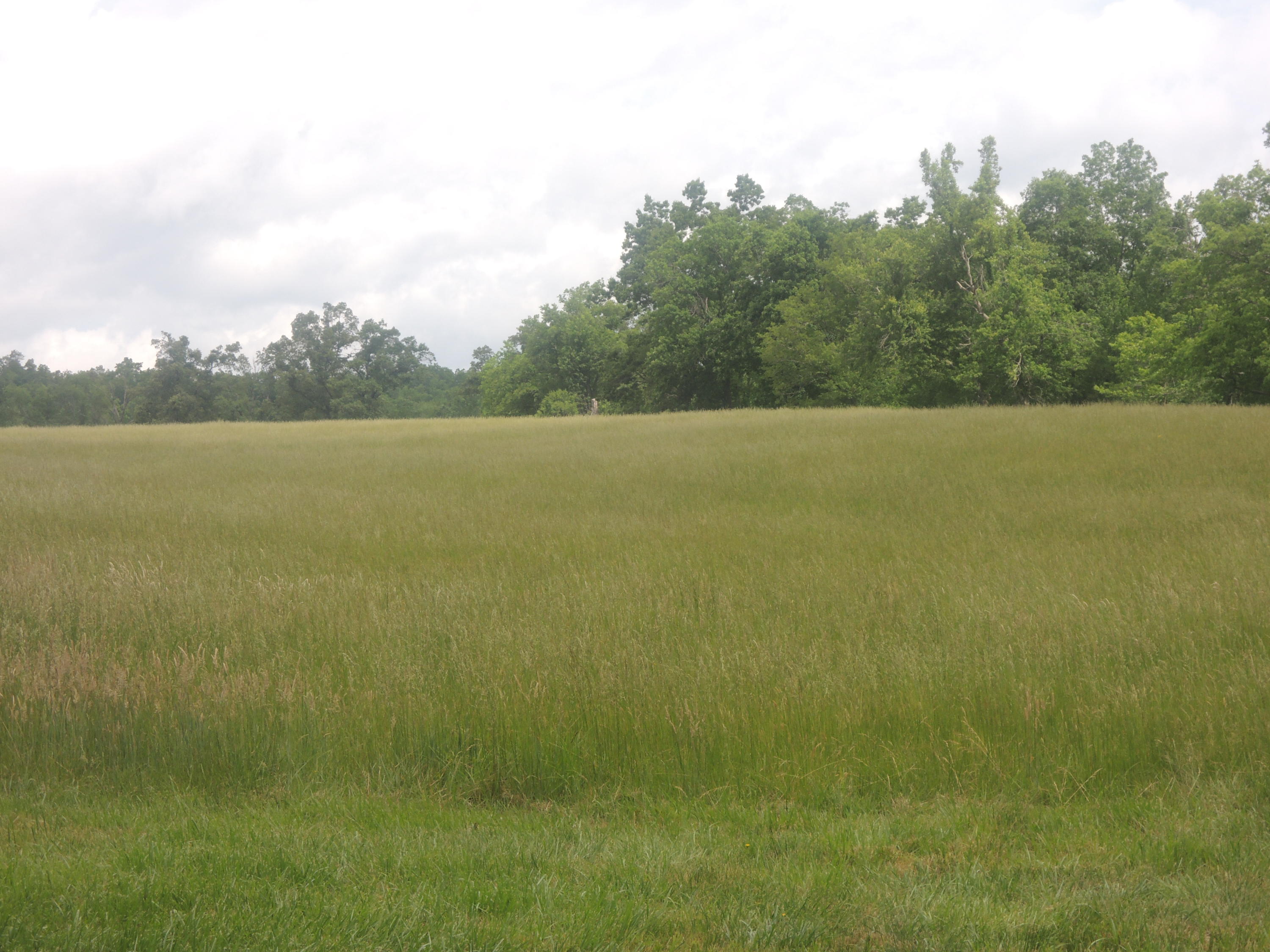 292 Coon Creek Road Sunbright, TN 37872 - Photo 27 of 39 05-17-2017 107
