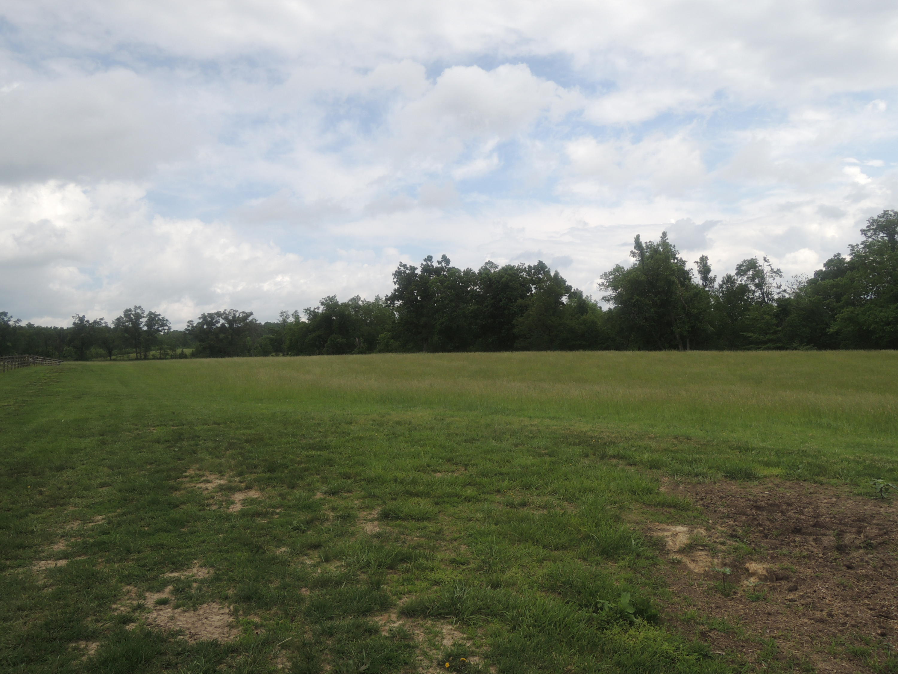 292 Coon Creek Road Sunbright, TN 37872 - Photo 32 of 39 05-17-2017 113