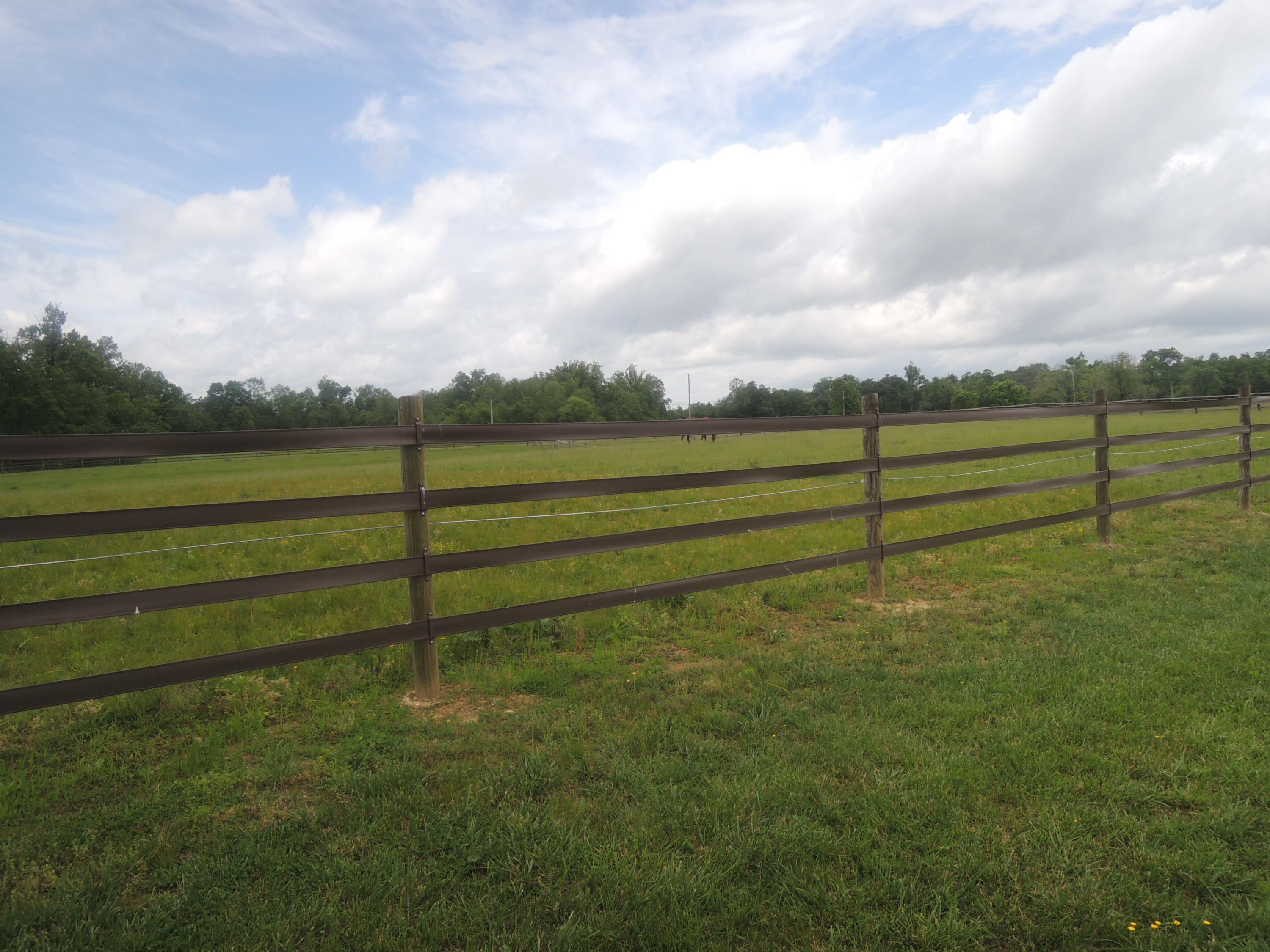 292 Coon Creek Road Sunbright, TN 37872 - Photo 33 of 39 05-17-2017 114