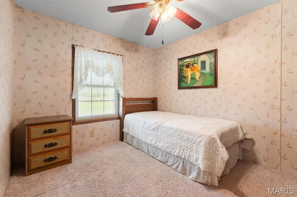 6421 Kaskaskia Road Millstadt, IL 62260 - Photo 13 of 43 Gallery Image 13