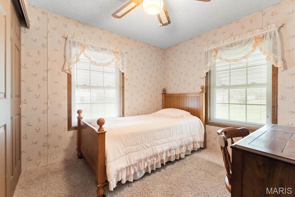 6421 Kaskaskia Road Millstadt, IL 62260 - Photo 16 of 43 Gallery Image 16