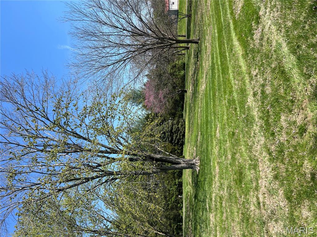 6421 Kaskaskia Road Millstadt, IL 62260 - Photo 2 of 43 Gallery Image 2