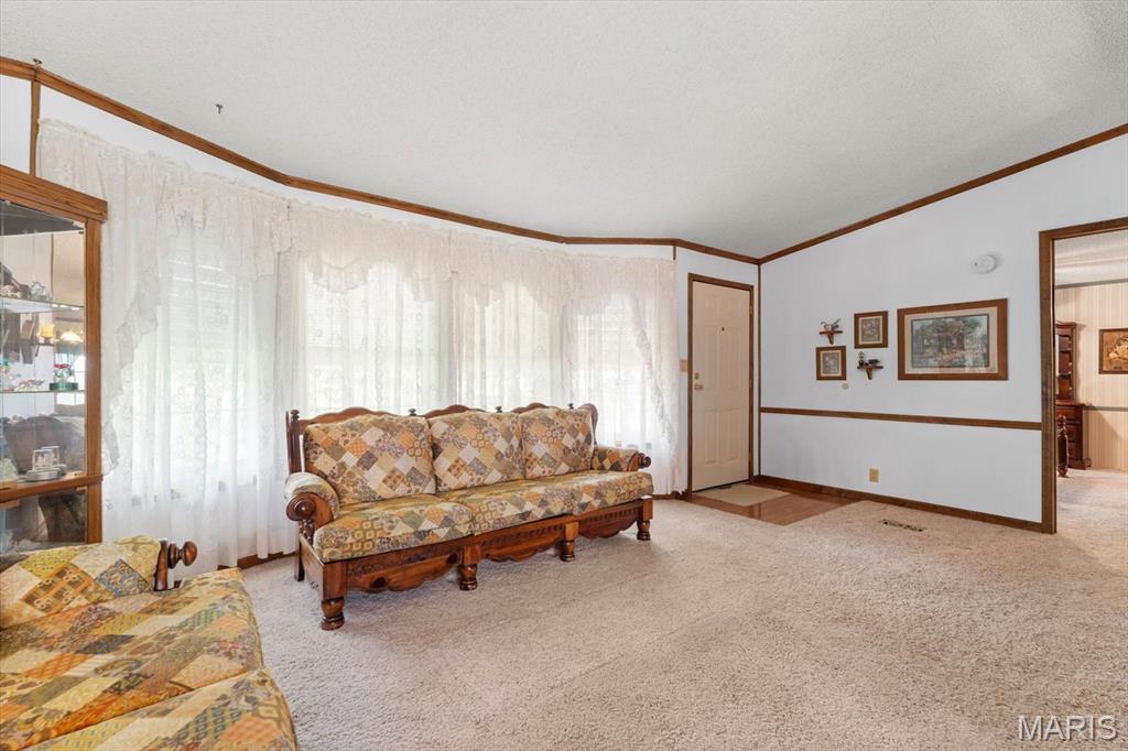 6421 Kaskaskia Road Millstadt, IL 62260 - Photo 5 of 43 Gallery Image 5