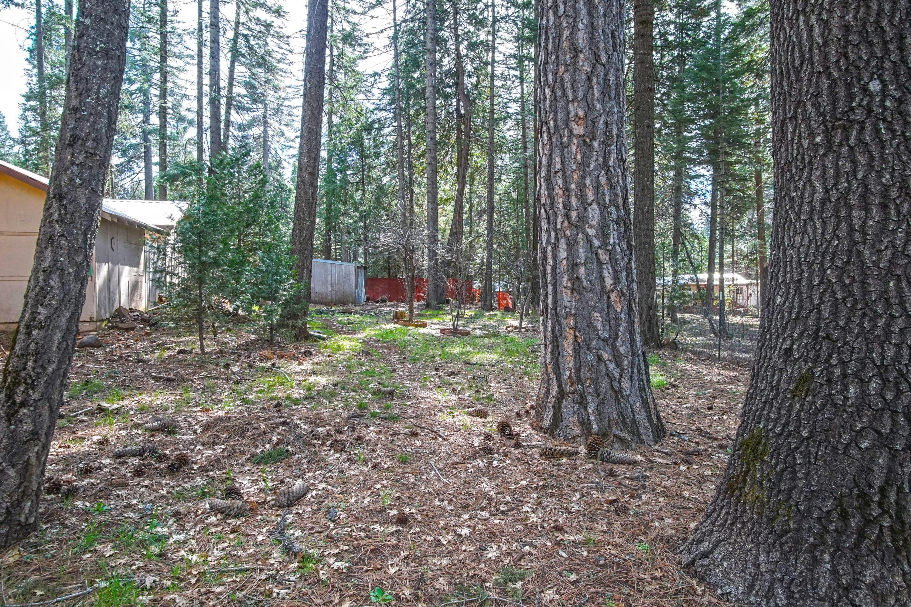 33433 Plateau Pines Road Shingletown, CA 96088 - Photo 14 of 14 Sideyard View