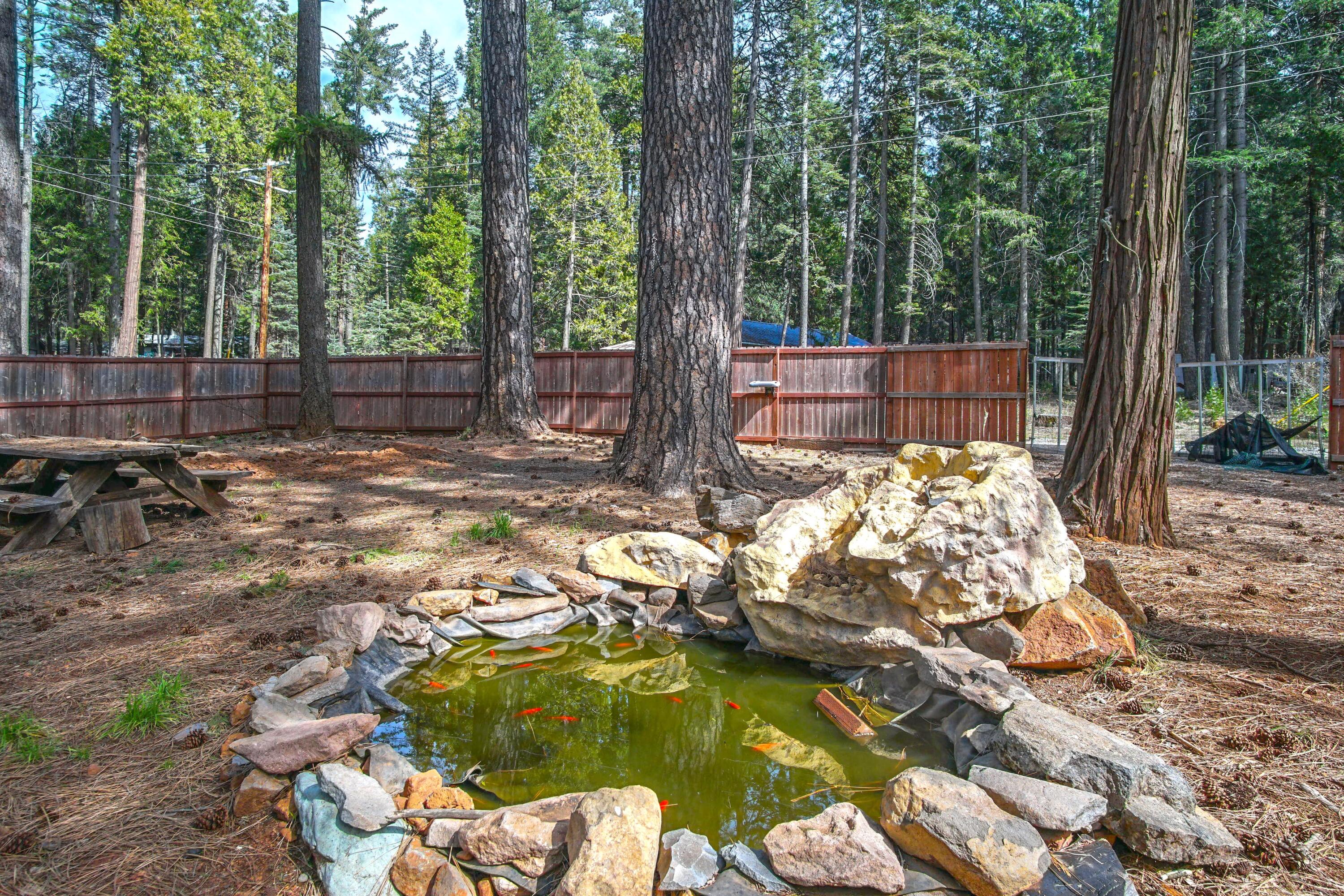 33433 Plateau Pines Road Shingletown, CA 96088 - Photo 2 of 14 Gold Fish Pond