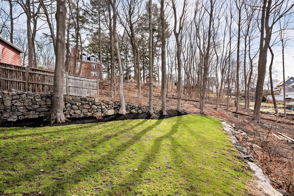57 Edmund Road Arlington, MA 02474 - Photo 35 of 36 a view of yard with swimming pool and trees