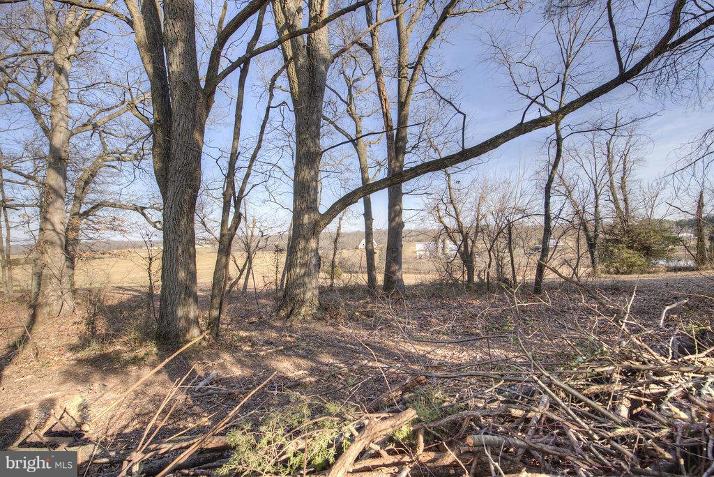 13283 Alum Springs Road Culpeper, VA 22701 - Photo 25 of 29 View