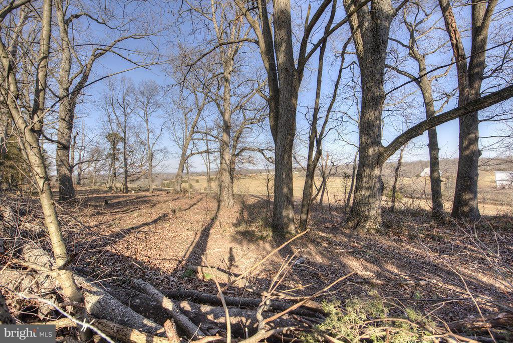 13283 Alum Springs Road Culpeper, VA 22701 - Photo 26 of 29 View