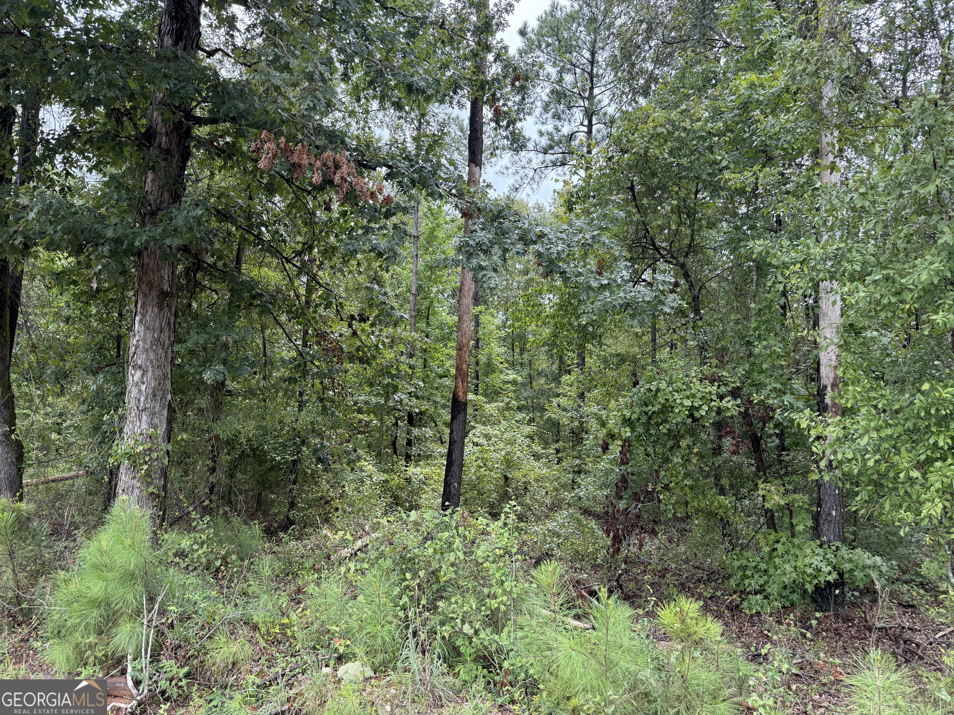 39.87-acres Irby Road Gibson, GA 30810 - Photo 51 of 56 Gallery Image 51