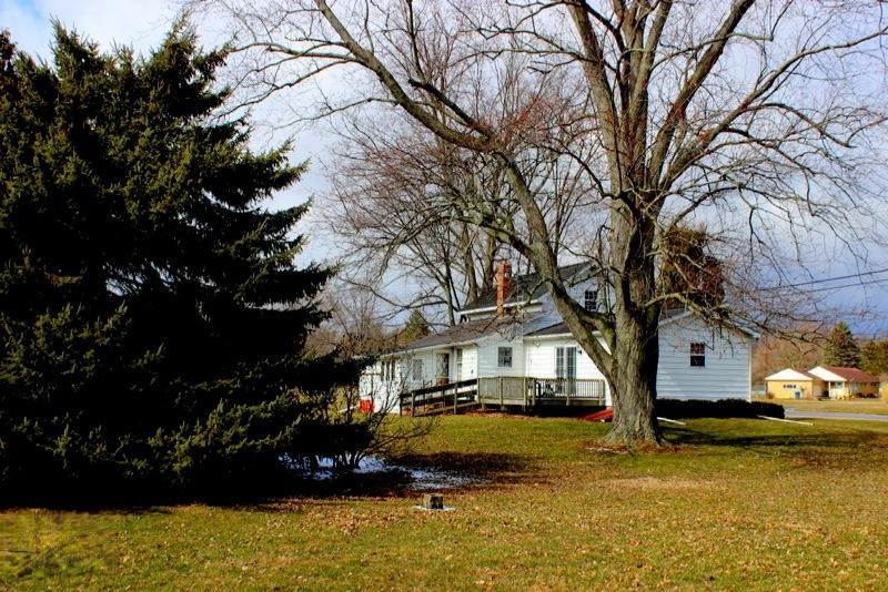 699 Homer Road Litchfield, MI 49252 - Photo 6 of 23 IMG_6033
