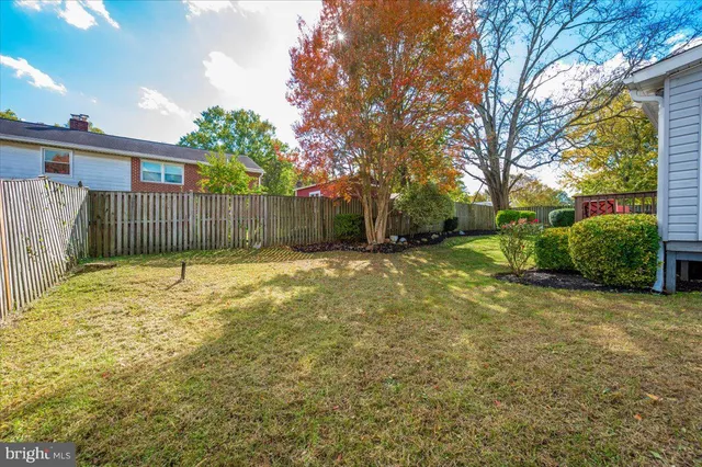a view of a backyard with large trees