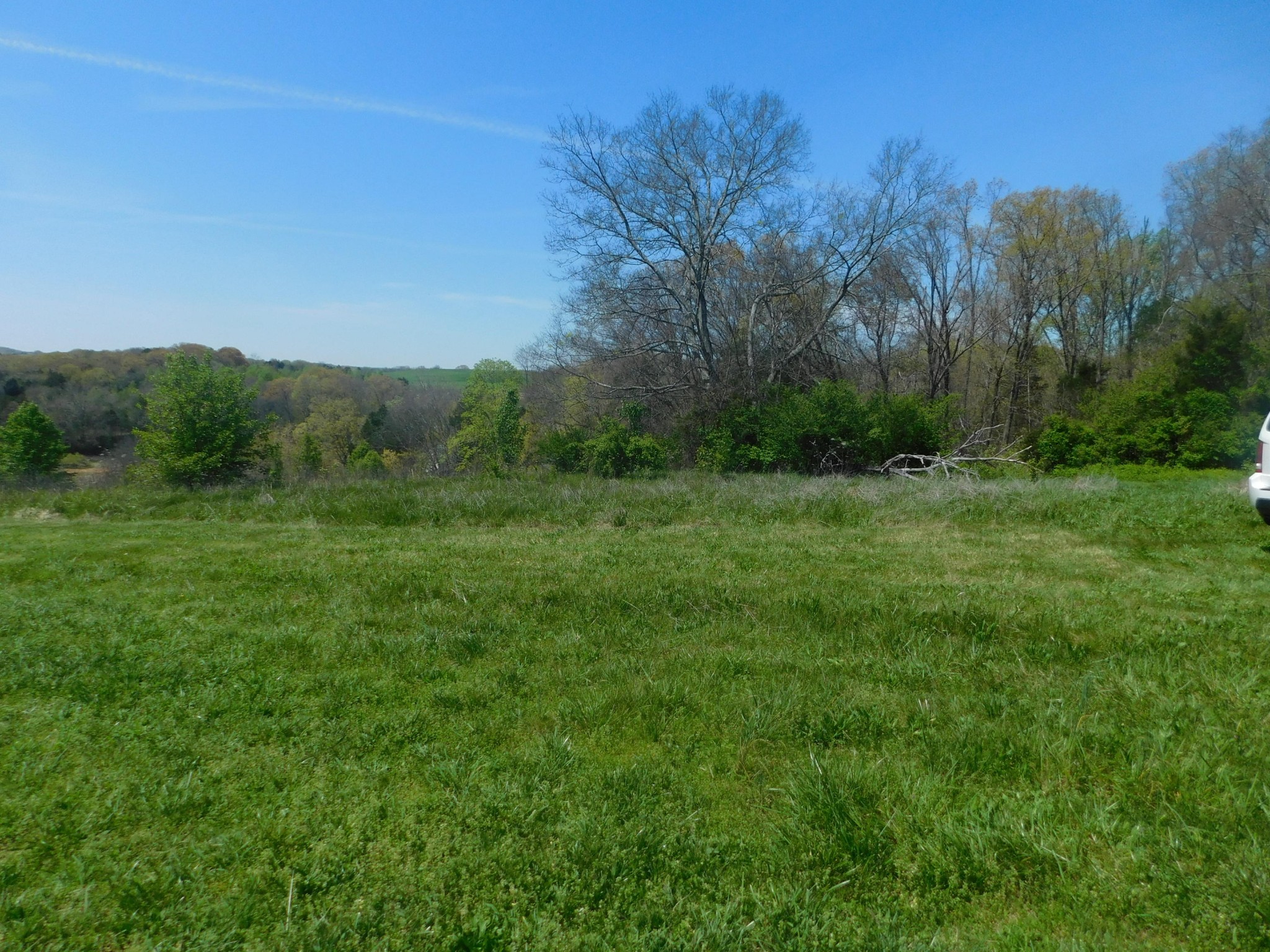 13 Frank Dawn Road Dandridge, TN 37725 - Photo 3 of 10 Gallery Image 3