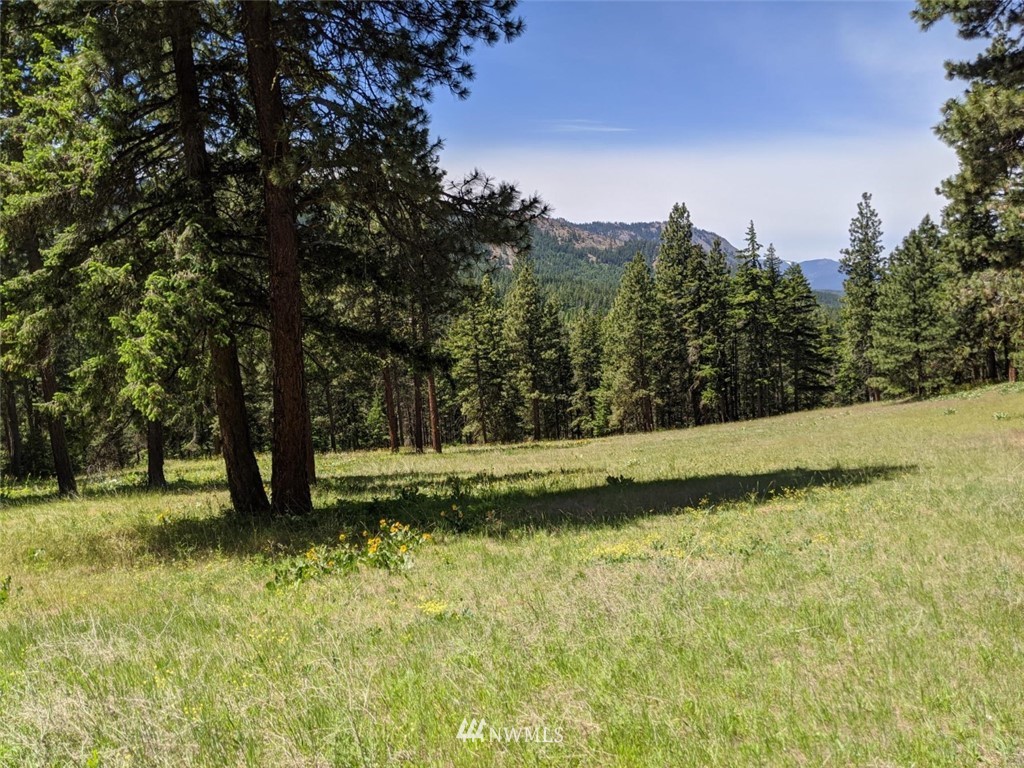 250-252 Thornton View Road Cle Elum, WA 98922 - Photo 1 of 27 Gallery Image 1