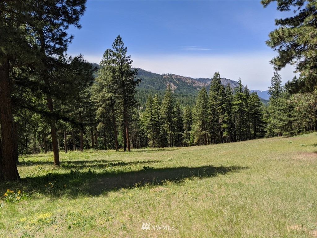 250-252 Thornton View Road Cle Elum, WA 98922 - Photo 14 of 27 Gallery Image 14