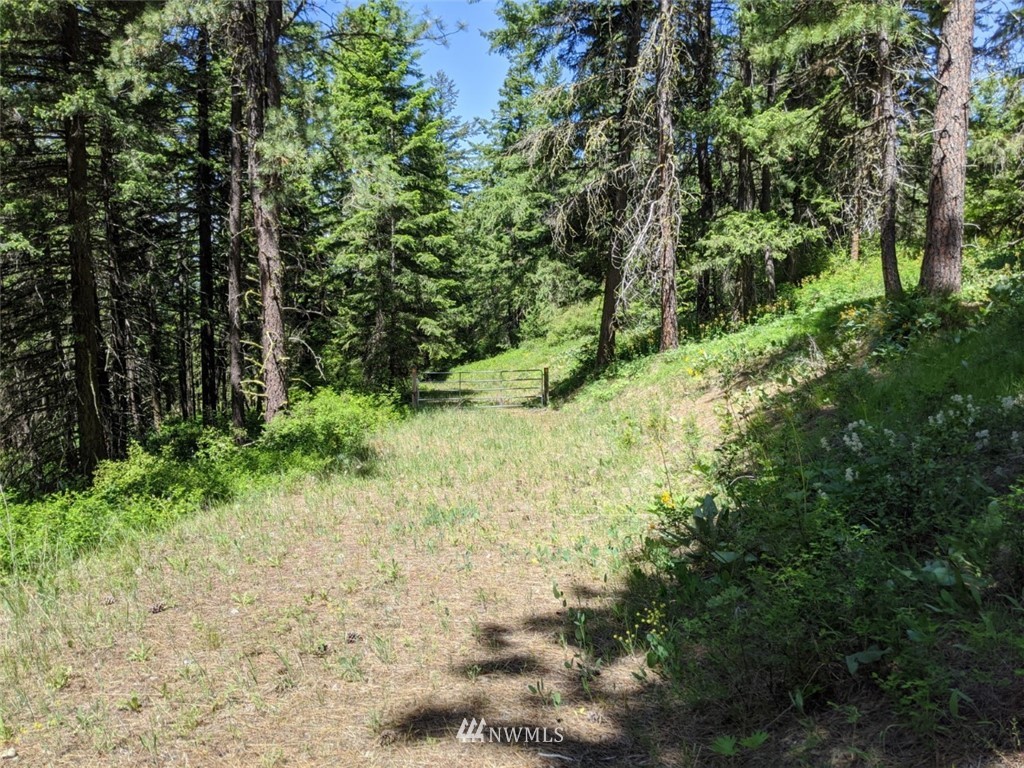 250-252 Thornton View Road Cle Elum, WA 98922 - Photo 3 of 27 Gallery Image 3