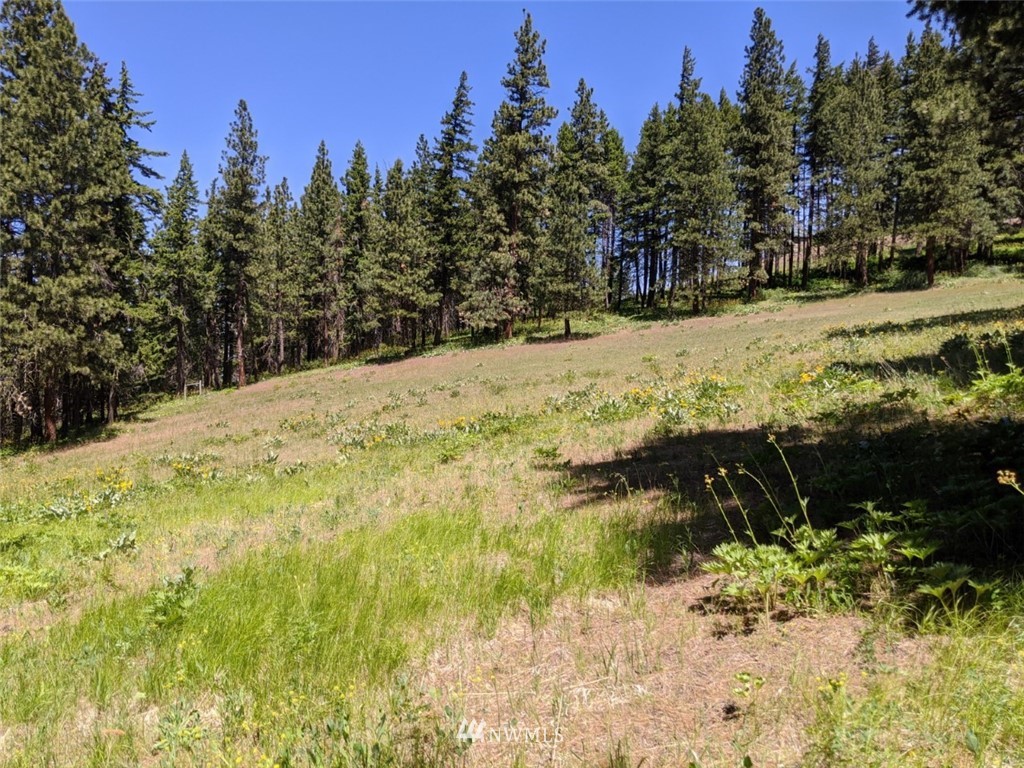 250-252 Thornton View Road Cle Elum, WA 98922 - Photo 22 of 27 Gallery Image 22