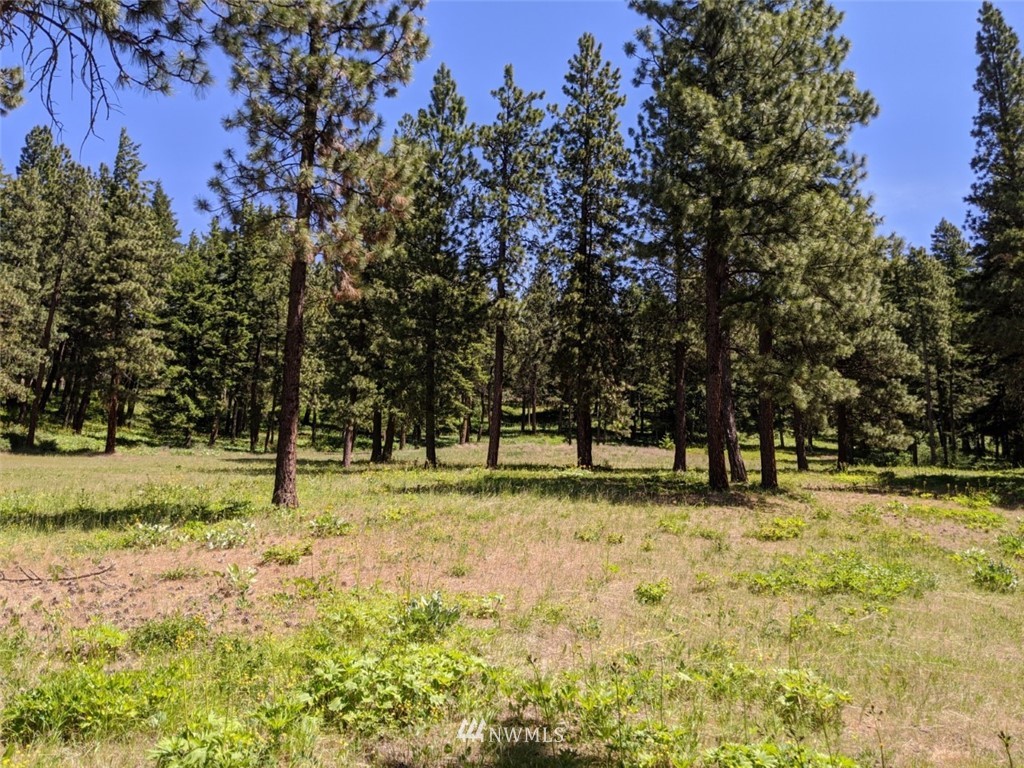 250-252 Thornton View Road Cle Elum, WA 98922 - Photo 23 of 27 Gallery Image 23