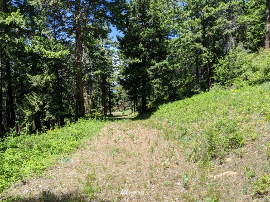 250-252 Thornton View Road Cle Elum, WA 98922 - Photo 5 of 27 Gallery Image 5