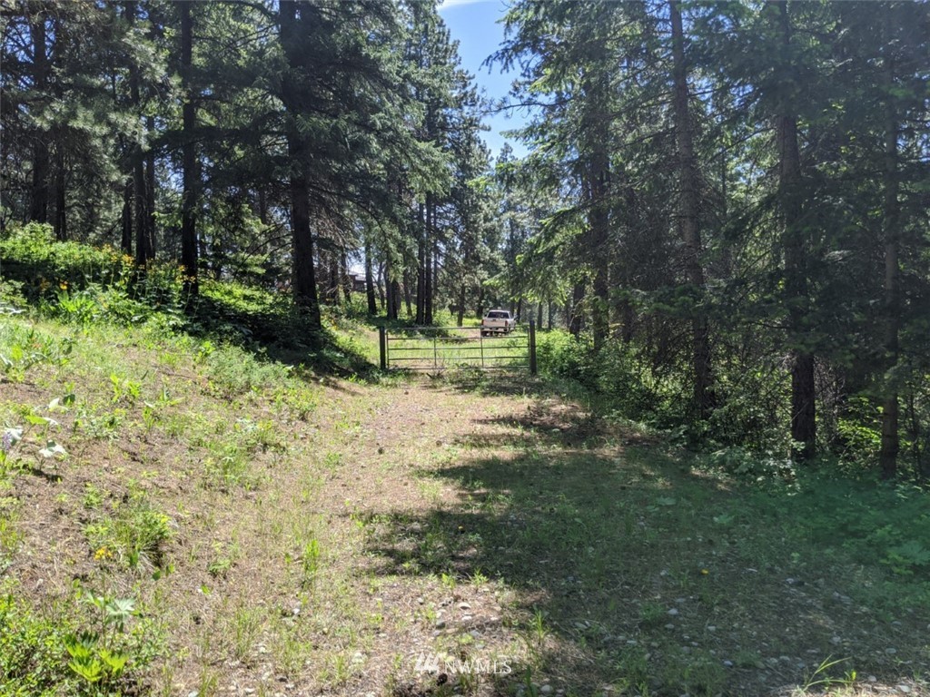 250-252 Thornton View Road Cle Elum, WA 98922 - Photo 6 of 27 Gallery Image 6