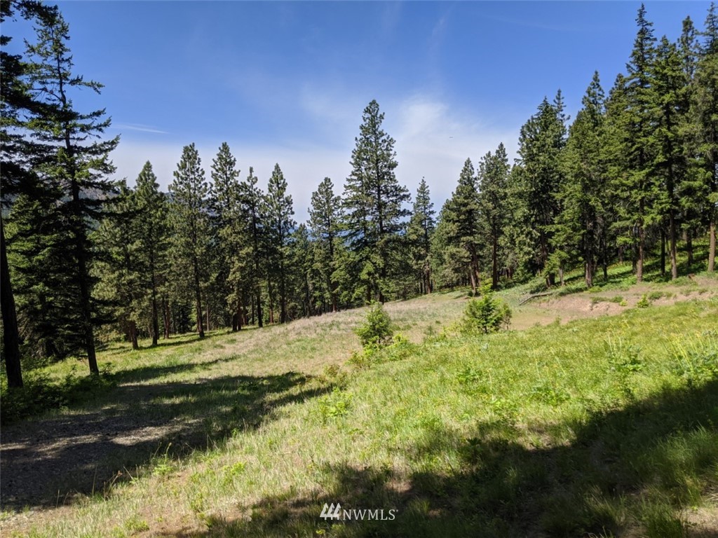 250-252 Thornton View Road Cle Elum, WA 98922 - Photo 8 of 27 Gallery Image 8