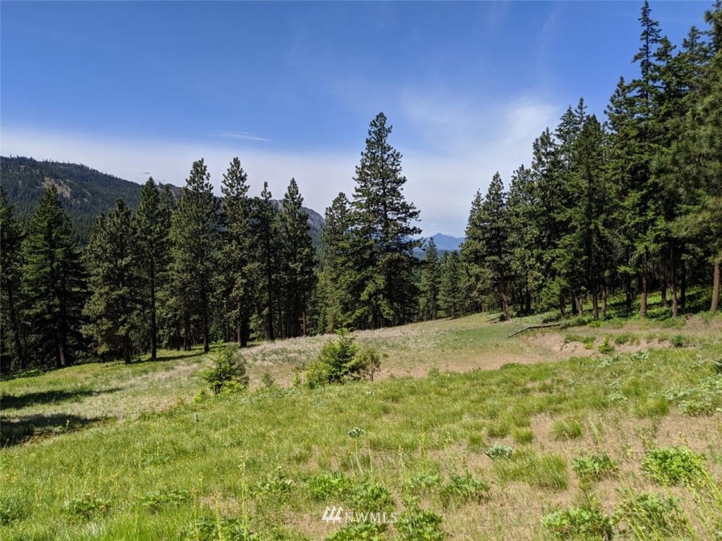 250-252 Thornton View Road Cle Elum, WA 98922 - Photo 9 of 27 Gallery Image 9