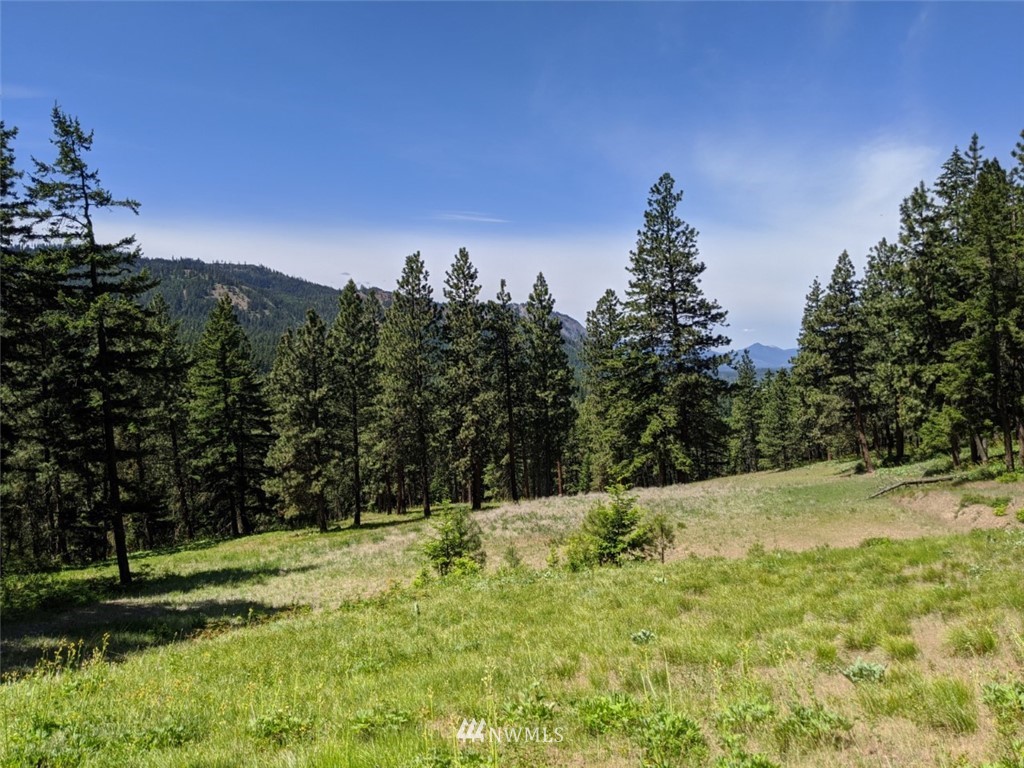 250-252 Thornton View Road Cle Elum, WA 98922 - Photo 10 of 27 Gallery Image 10