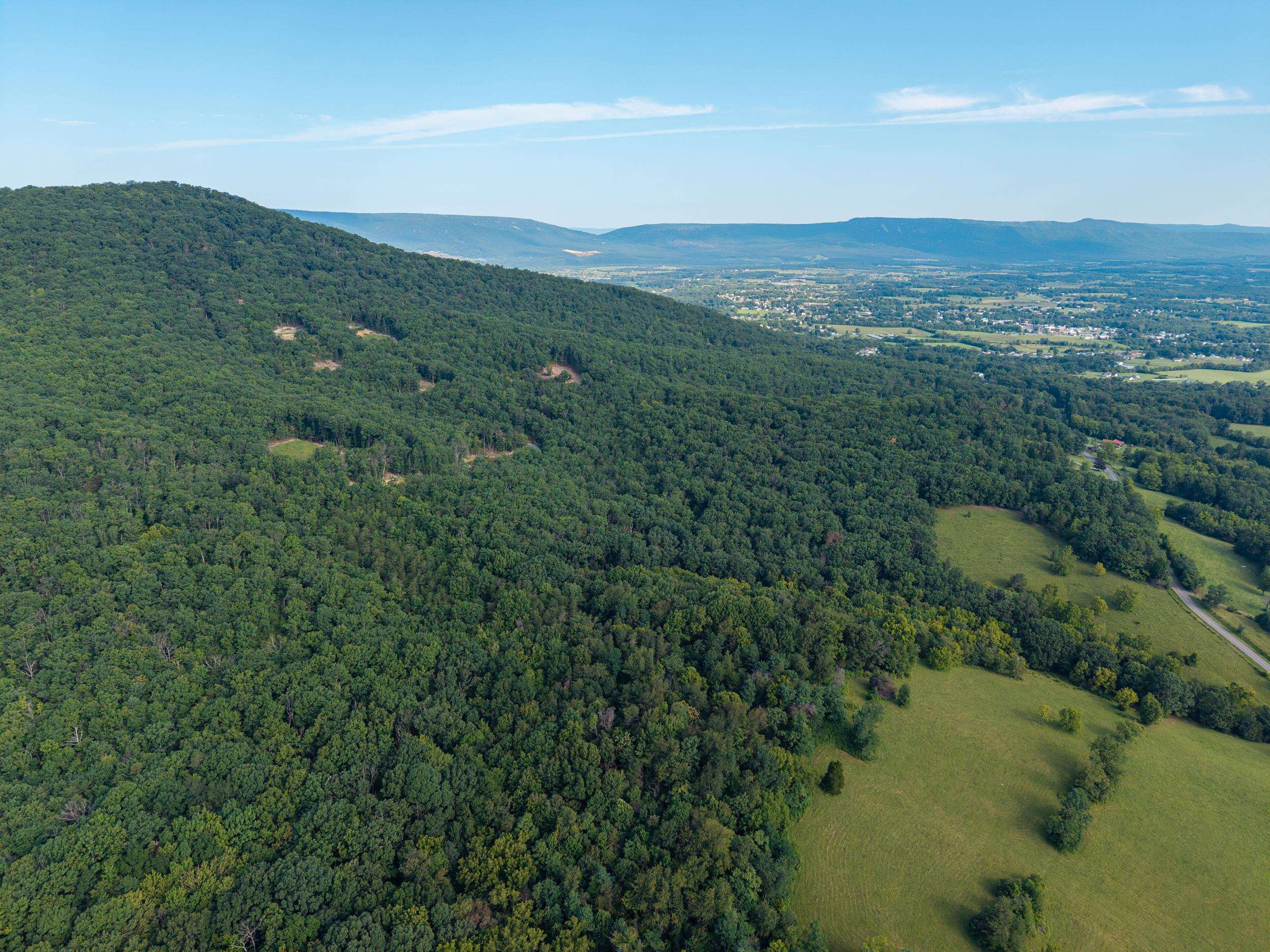 0 Roundhead Mountain Road Stanley, VA 22851 - Photo 22 of 43 Gallery Image 22