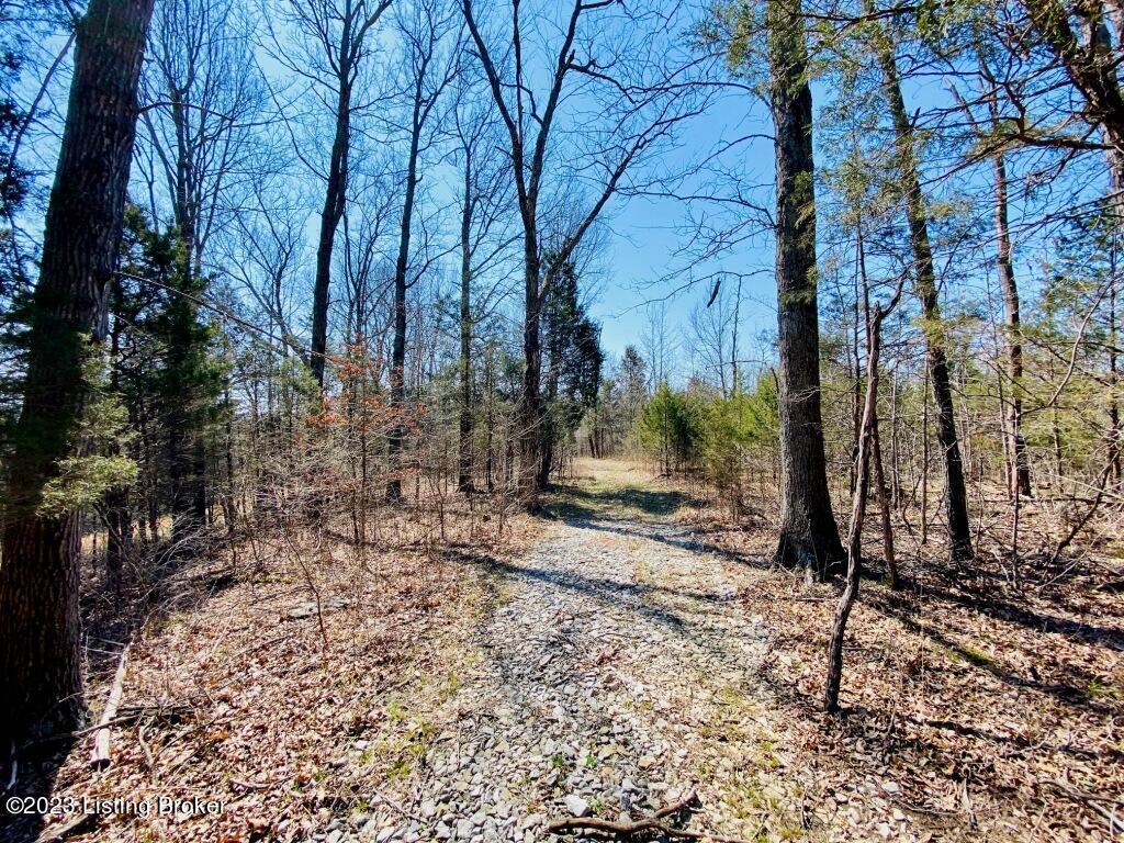 2723 Tatum Ridge Road Willisburg, KY 40078 - Photo 17 of 42 017_79791057