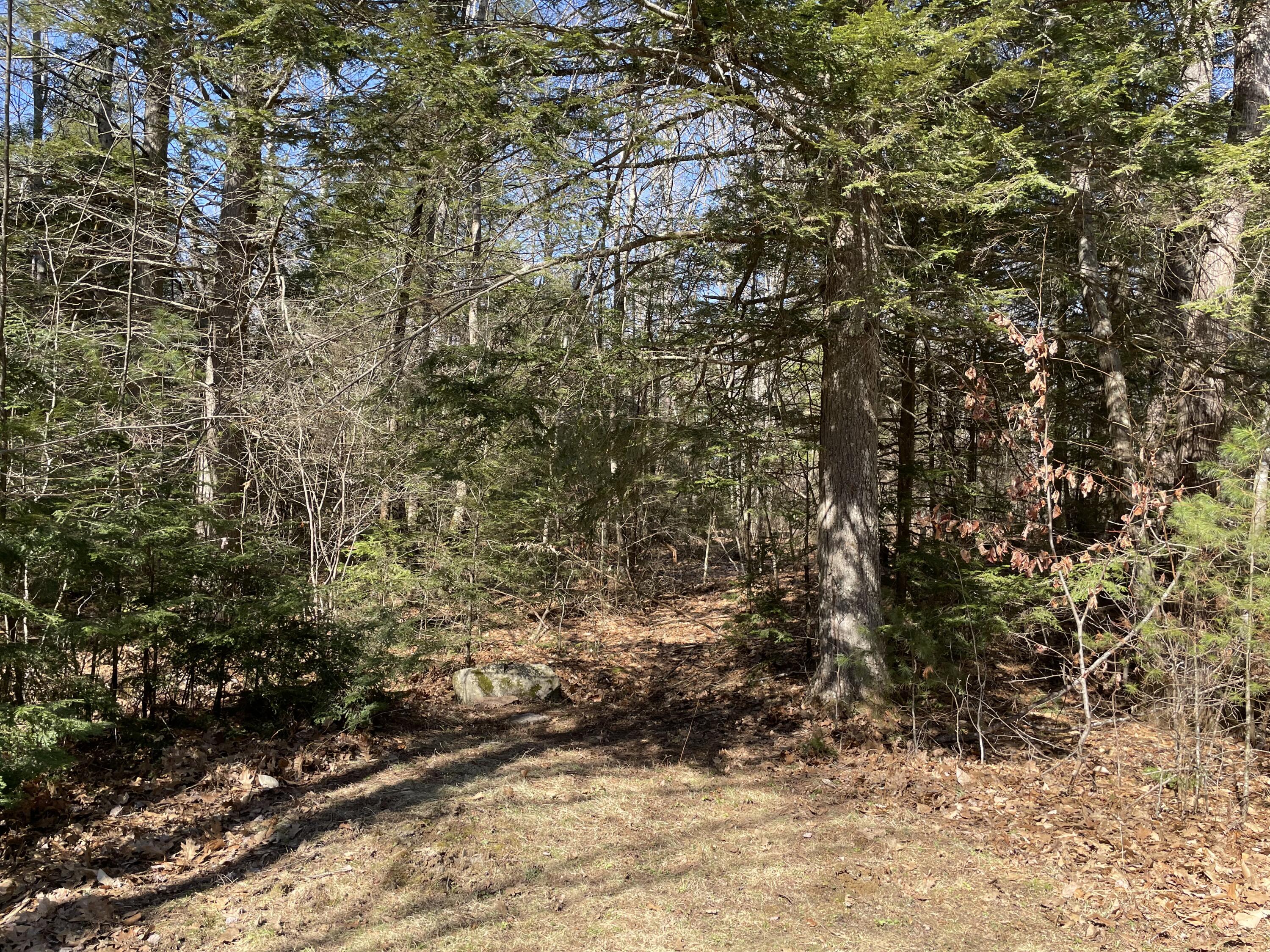 152 Sweetser Road Pownal, ME 04069 - Photo 22 of 24 IMG_3798