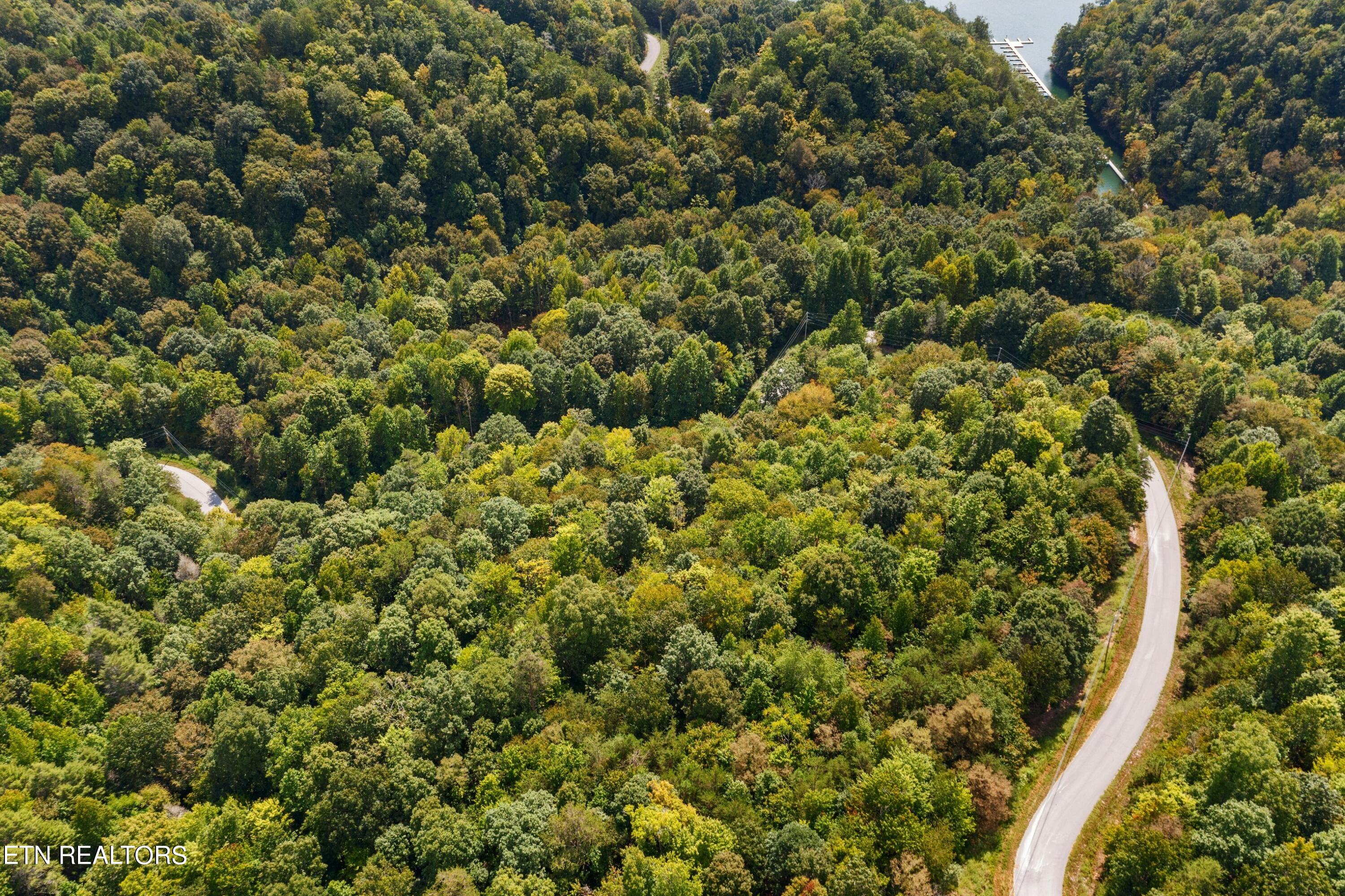 Lot 143 Whistle Valley Road New Tazewell, TN 37825 - Photo 2 of 13 DJI_0911.jpg-SMALL