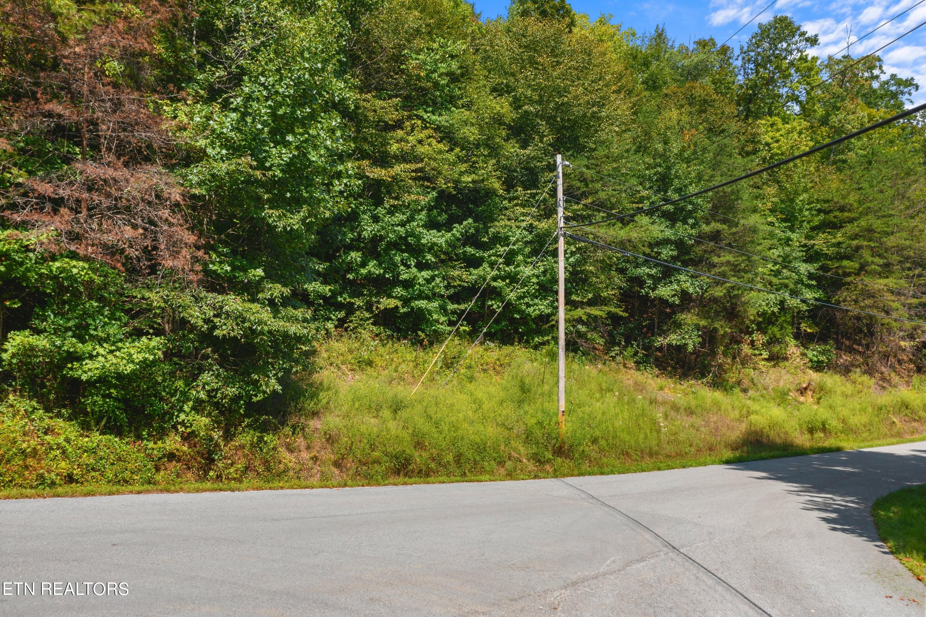 Lot 143 Whistle Valley Road New Tazewell, TN 37825 - Photo 5 of 13 DJI_0903.jpg-SMALL