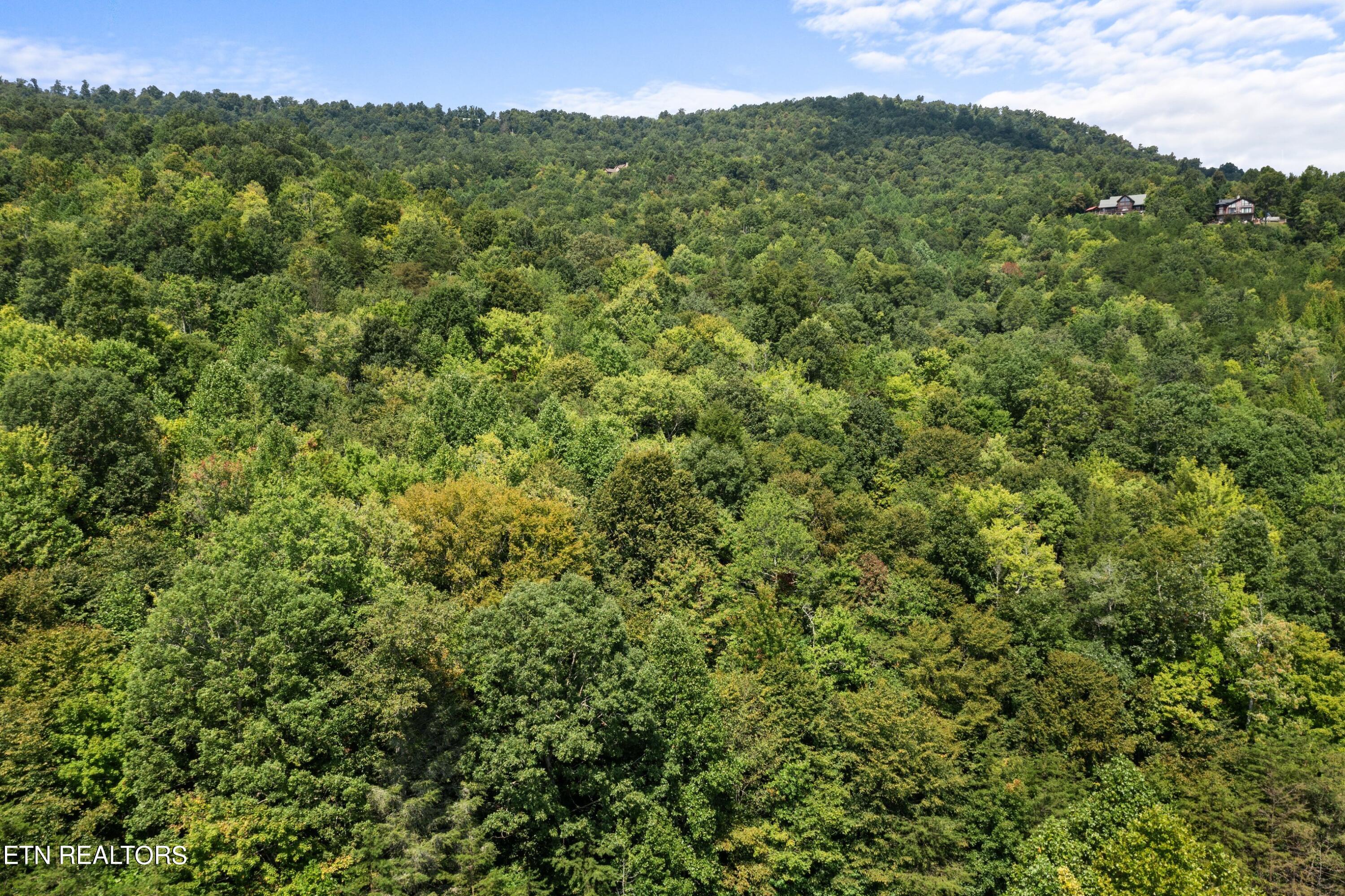 Lot 143 Whistle Valley Road New Tazewell, TN 37825 - Photo 10 of 13 DJI_0983.jpg-SMALL