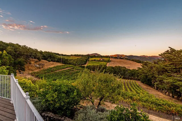 a view of a park with large trees