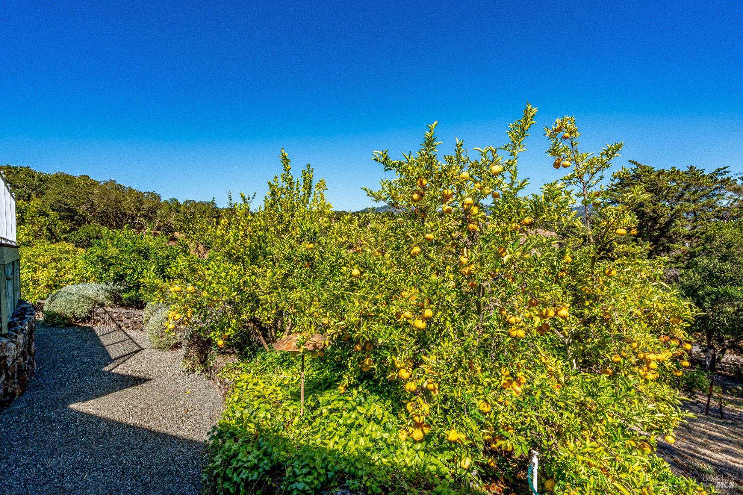 1790 Warm Springs Road Glen Ellen, CA 95442 - Photo 62 of 75