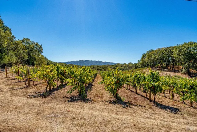 $2,995,000 | 1790 Warm Springs Road, Glen Ellen, CA 95442