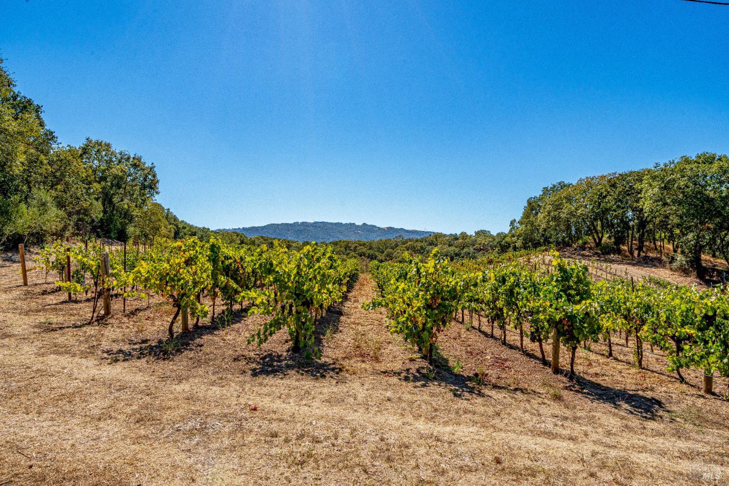 1790 Warm Springs Road Glen Ellen, CA 95442 - Photo 63 of 75