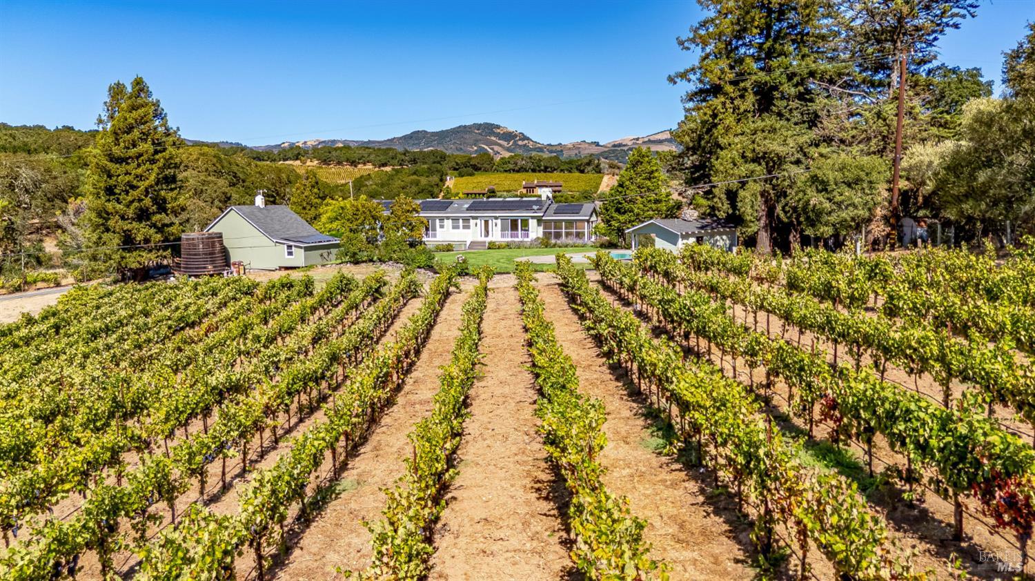 1790 Warm Springs Road Glen Ellen, CA 95442 - Photo 65 of 75