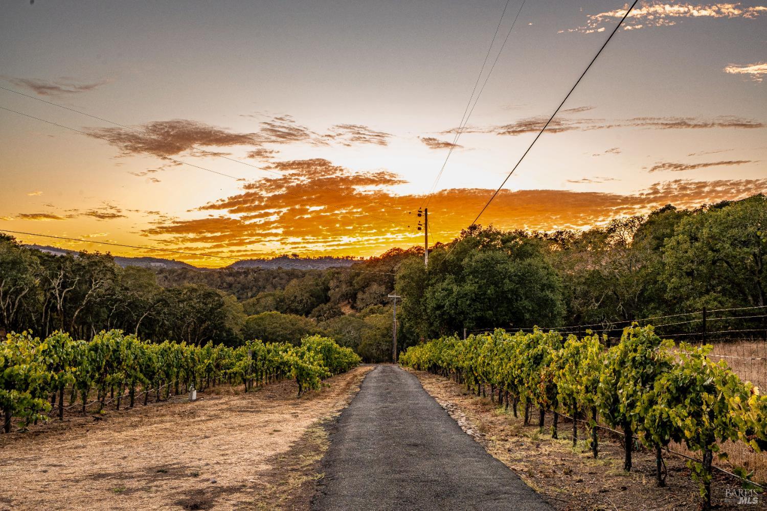 1790 Warm Springs Road Glen Ellen, CA 95442 - Photo 68 of 75