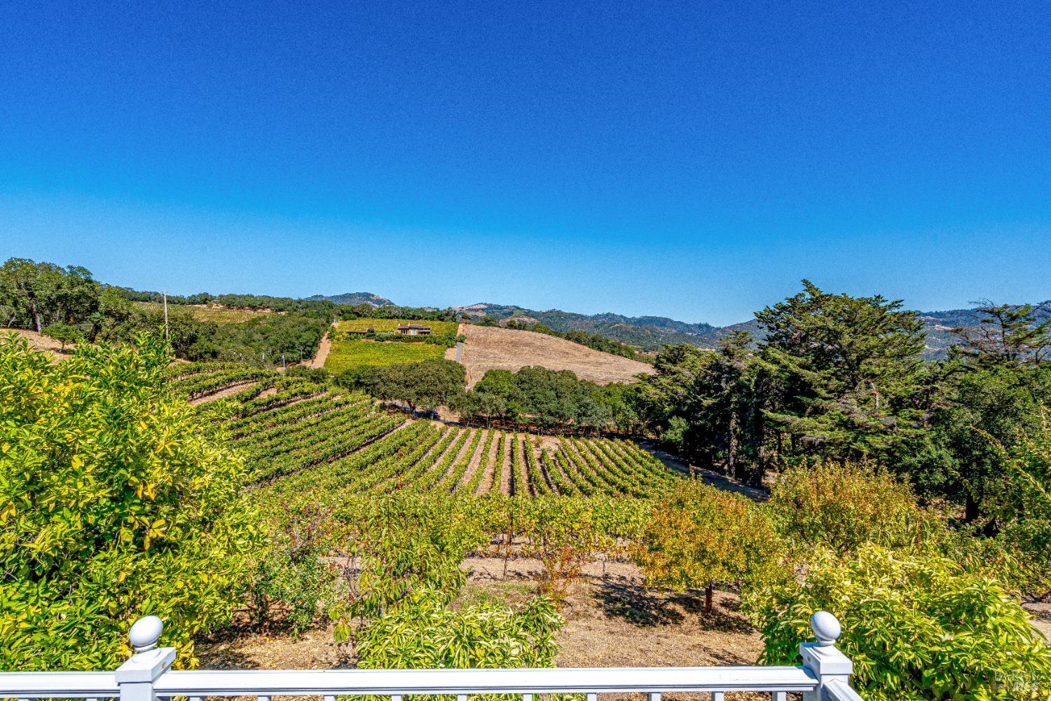 1790 Warm Springs Road Glen Ellen, CA 95442 - Photo 10 of 75