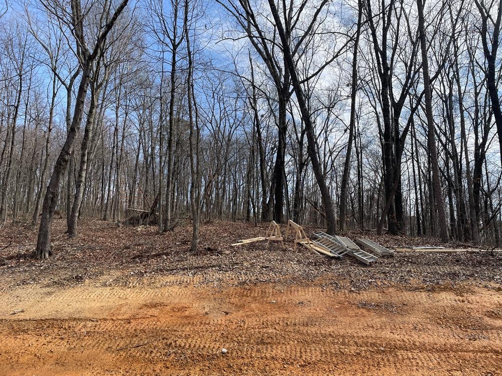 3395 Buchanan Road Southeast Cleveland, TN 37323 - Photo 13 of 13 Gallery Image 13