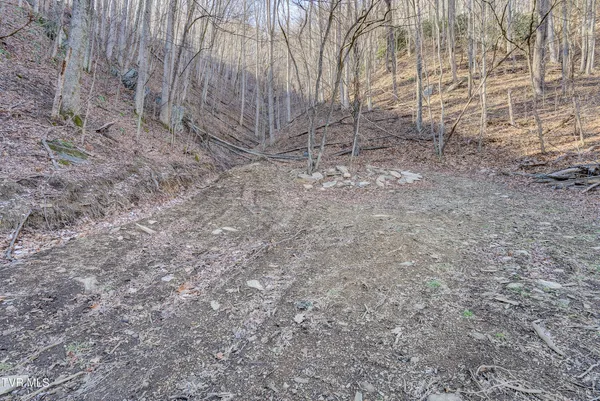 $465,000 | 406 Mathis Road, Flag Pond, TN 37657